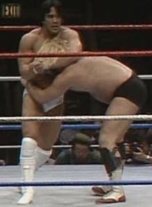 wwf_wrestlemania_1_steamboat